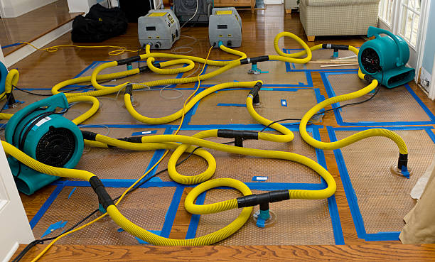 Professional Water Damage Repair technician working in Wharton, NJ